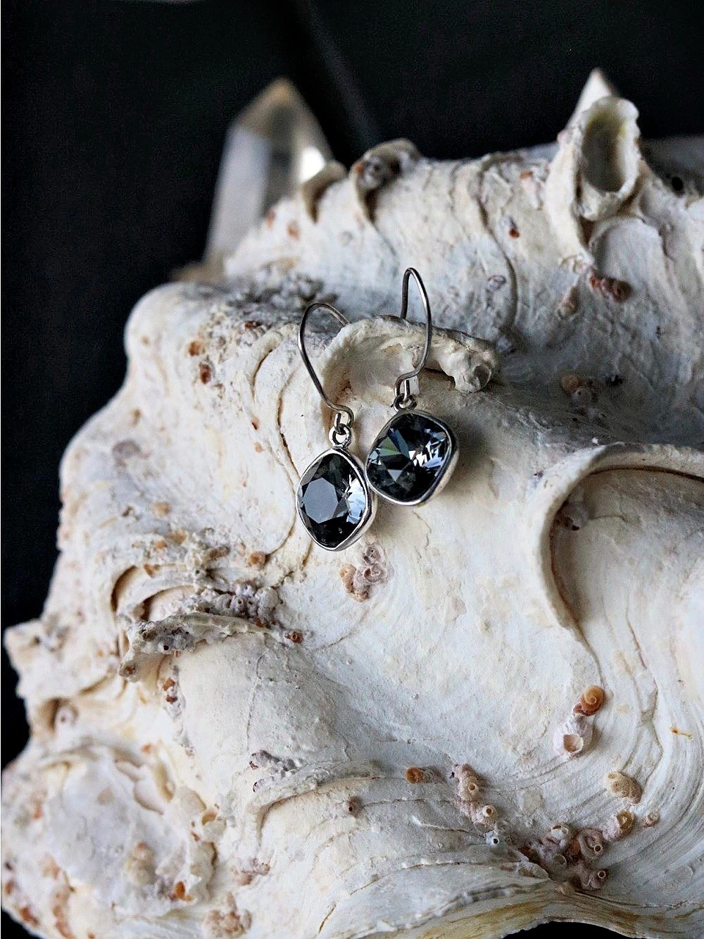 Black & Silver Drop Earrings Like New